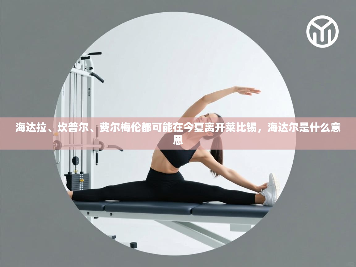 开云手机版-海达拉、坎普尔、费尔梅伦都可能在今夏离开莱比锡,海达尔是什么意思 第4张