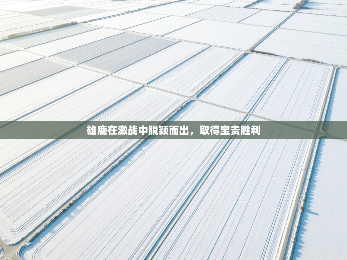 kaiyun体育入口-雄鹿在激战中脱颖而出，取得宝贵胜利